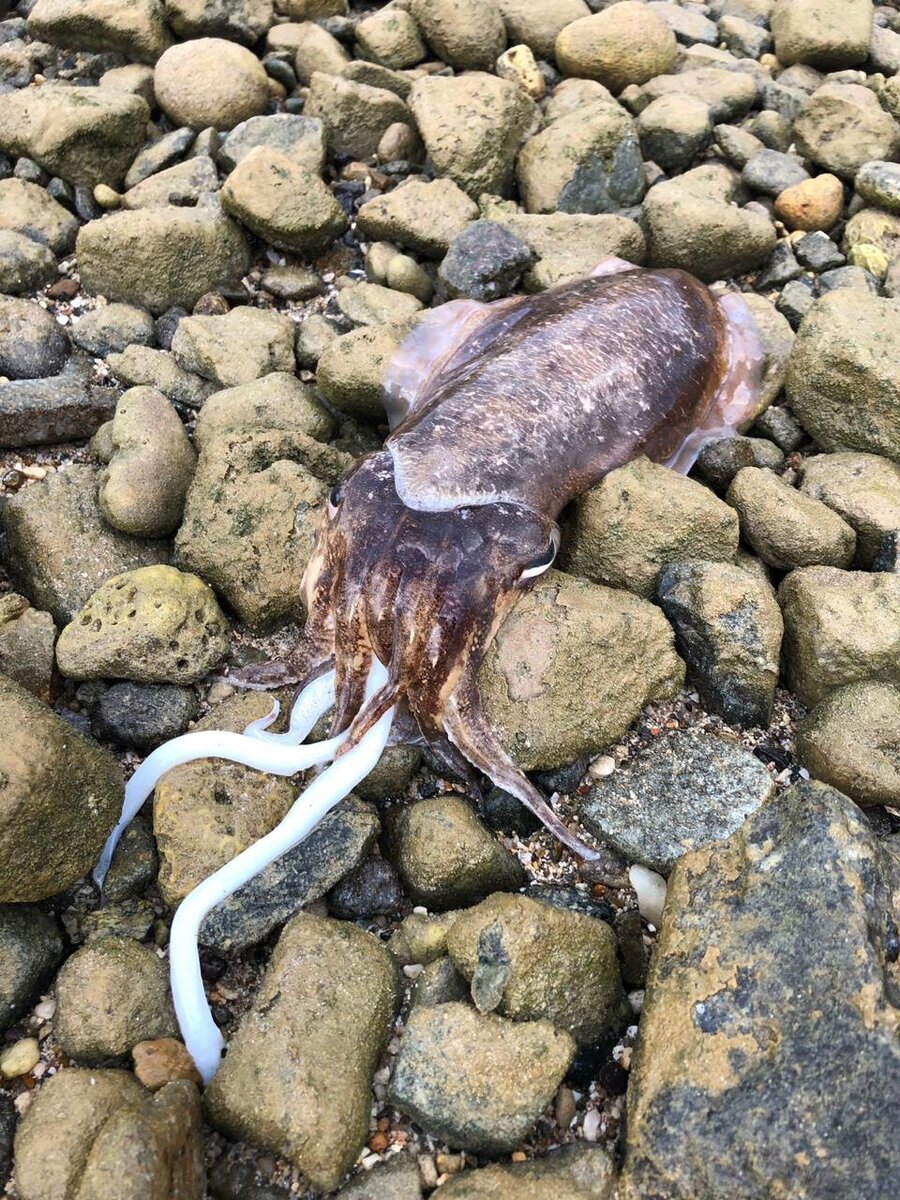 авторское фото, Вьетнам, 2019 