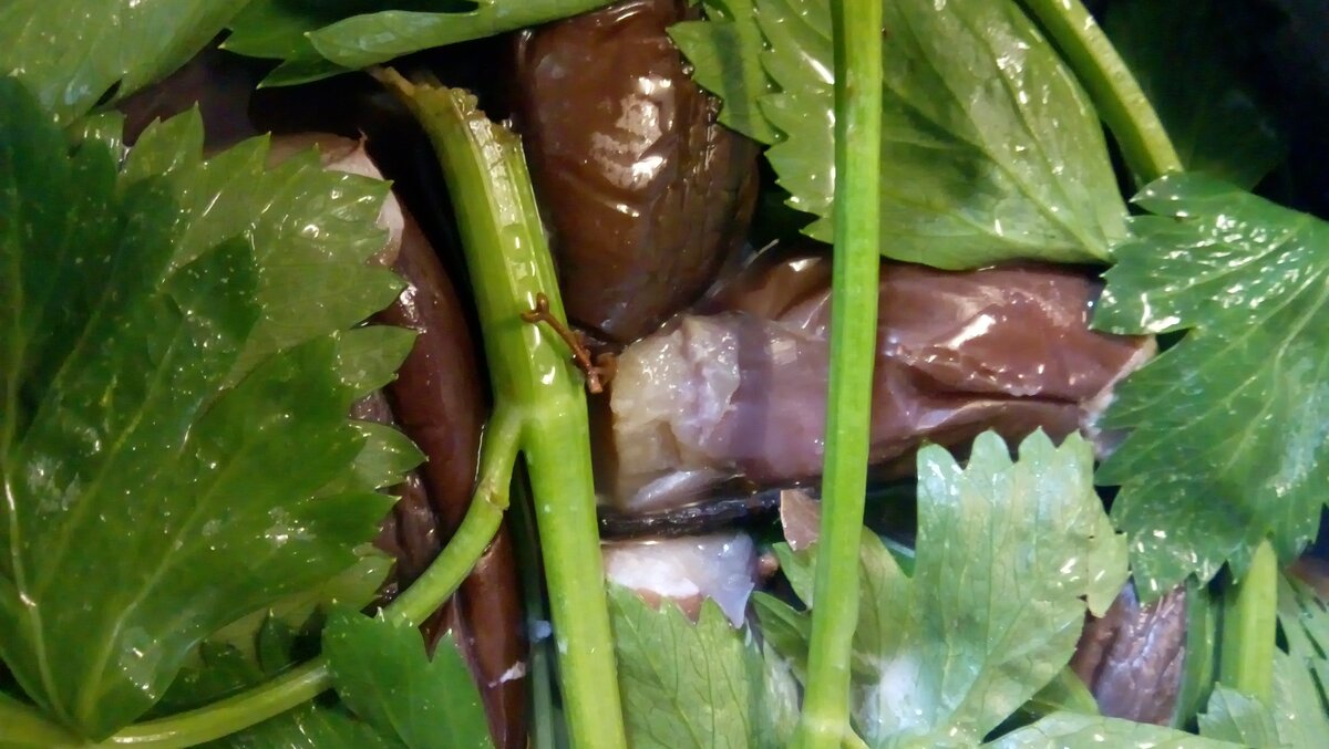 квашеные баклажаны с сельдереем