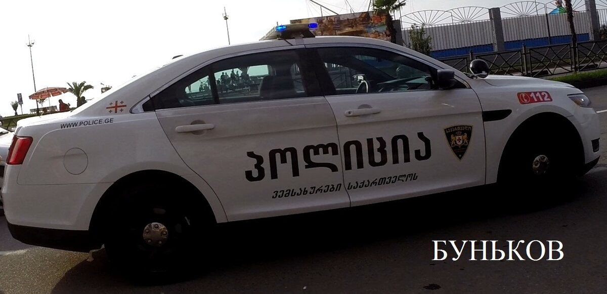 Полиция Грузии. 