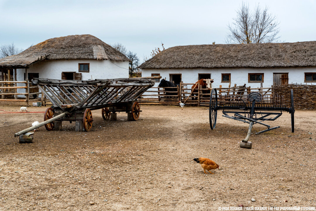 Казачий двор фото