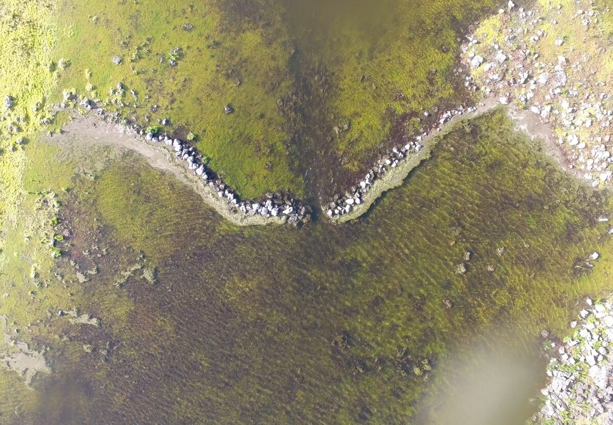 фото взято из ЯндексКартинки