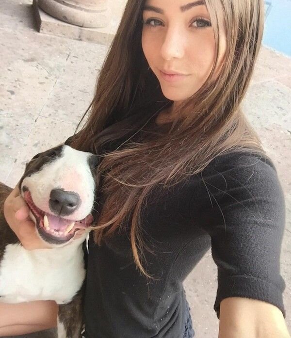 яндекс картинки