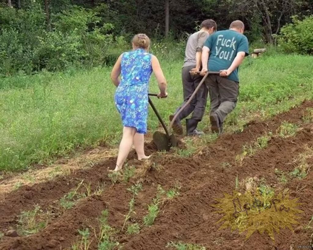 Картинки про садоводов