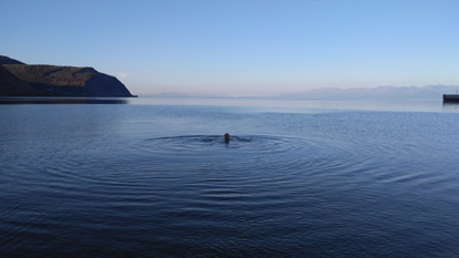 Озеро Байкал. Северобайкальск.