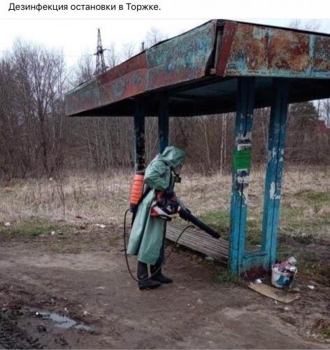 Дезинфекция в Торжке