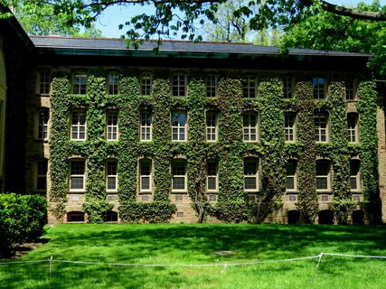 Скандал лиги плюща (Ivy League scandal)