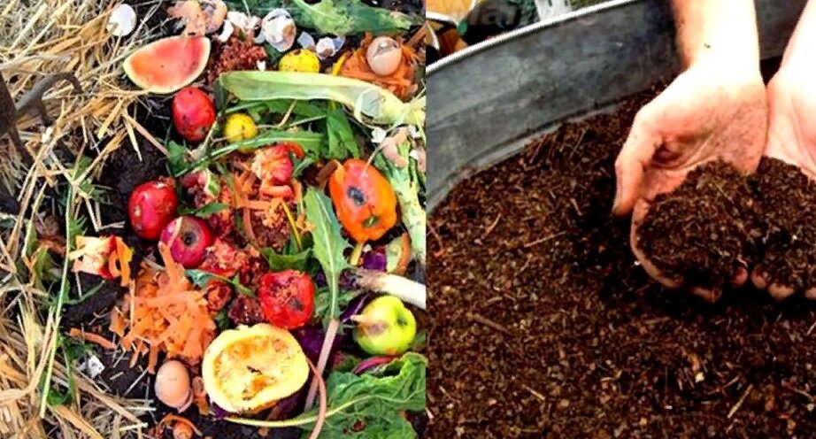 Компост. Картинка из Интернета