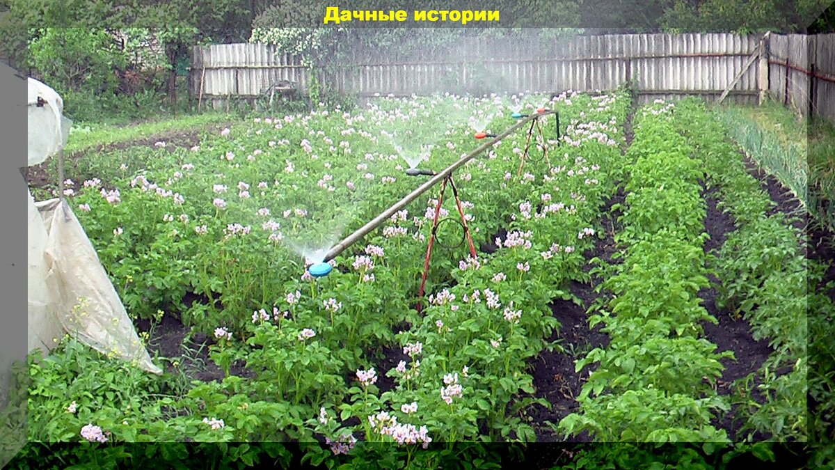 https://vk.com/photo-159774511_457248403