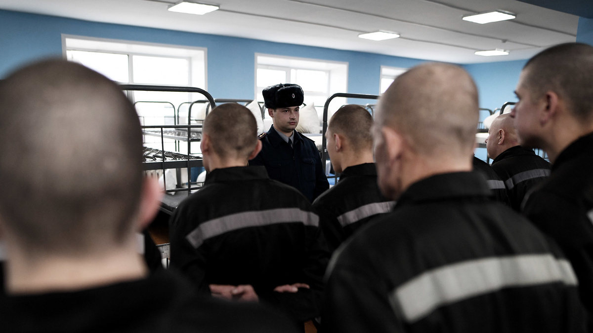 О чем нам говорит портрет среднестатистического преступника в России, составленный МВД и почему их будет только больше?