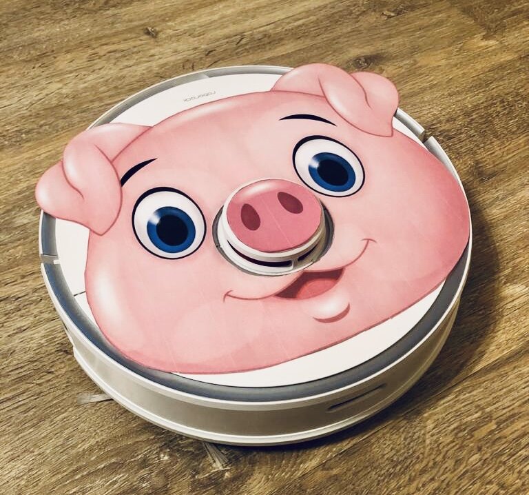 Нашего робота зовут «Гаврюша». Муж распечатал на принтере картинку, выглядит очень мило))