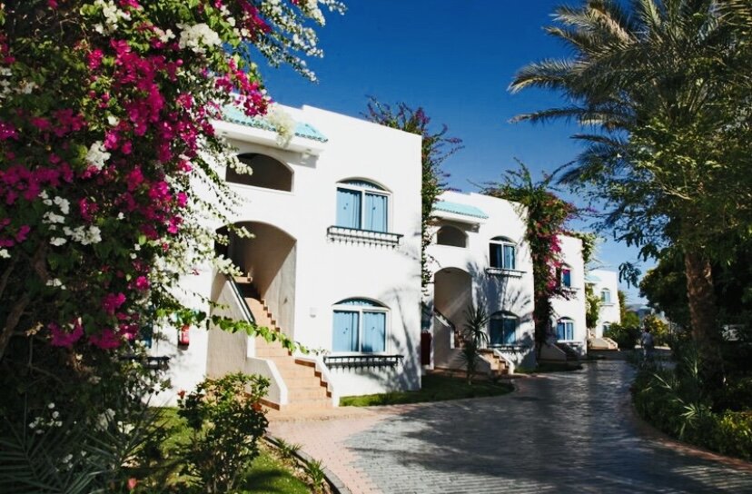 Отель sultan gardens шарм эль шейх. Отель sultan gardens шарм эль шейх. Отель sultan gardens шарм эль шейх. Отель sultan gardens шарм эль шейх. Отель sultan gardens шарм эль шейх.