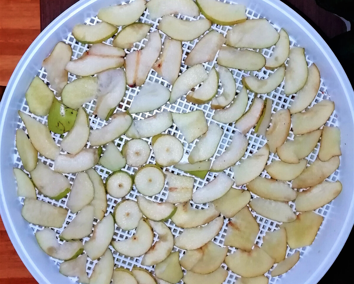 Груши в сушилке рецепт с фото пошагово РЕЦЕПТЫ ОТ АЛЛЫ канал вкусных рецептов Группа на  Вступай, читай, общайся