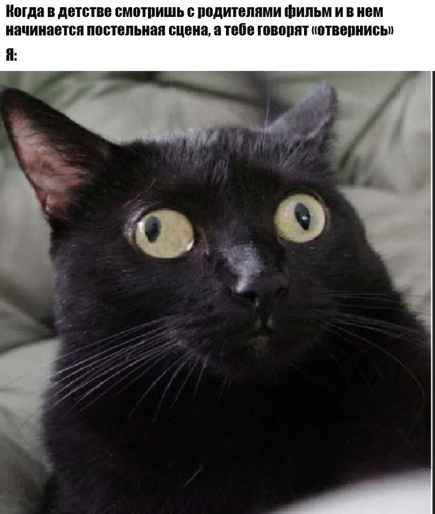 1 раза угадала. Котьс глазами в разные стороны. Кот с глазами в разные стороны. Косоглазый черный кот. Удивленный кот.