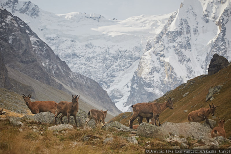 Туры в Безенги
