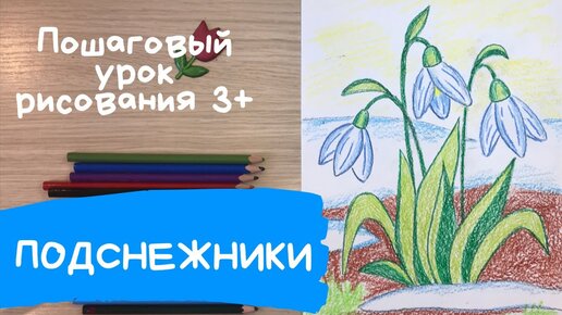 Как нарисовать подснежники: 17 вариантов на любой вкус