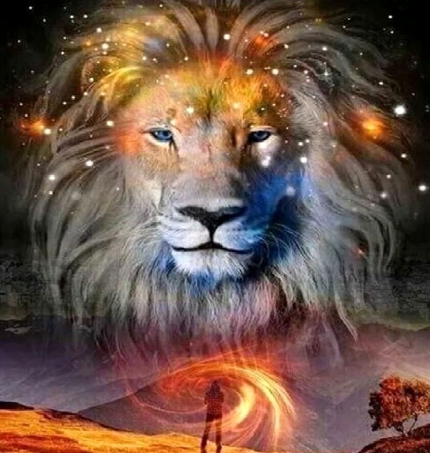 Фото из интернета