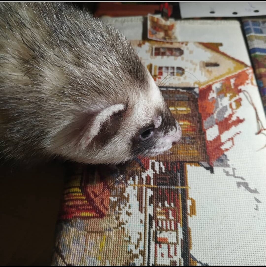 Ластик- самый главный по ошибкам🤣