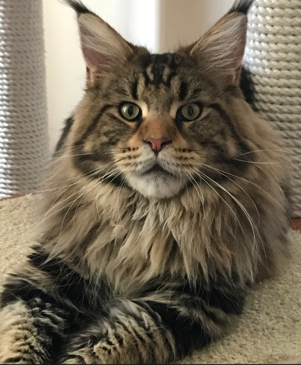 Взято из открытого источника