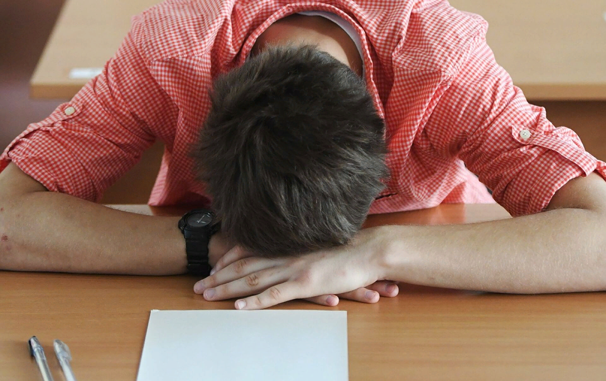 Яндекс картинки