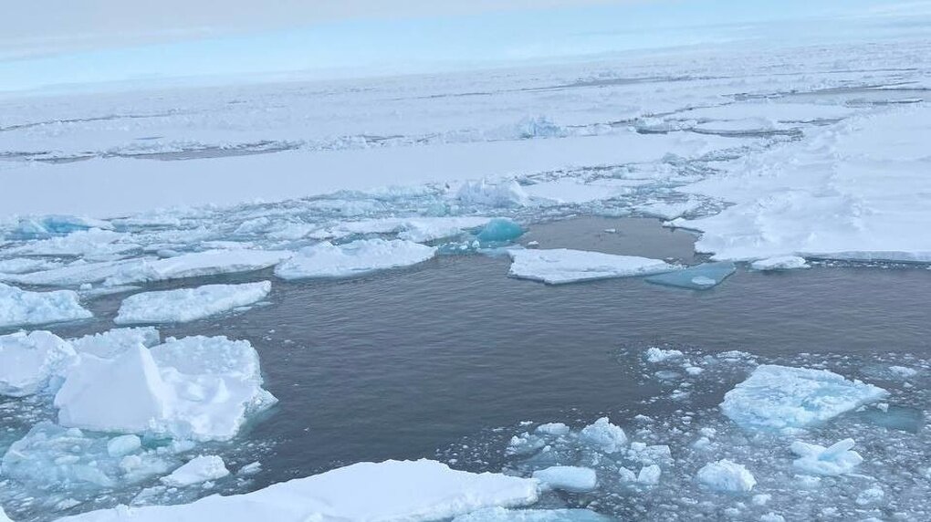 Фото: из личного архива Антона Кочнева