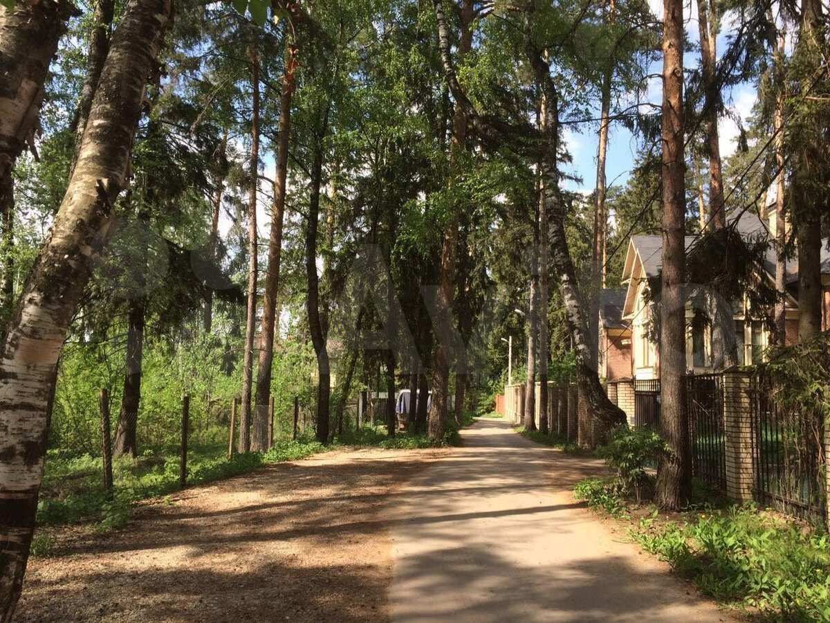 Фото  из открытого доступа в сети интернет. Ближнее Подмосковье