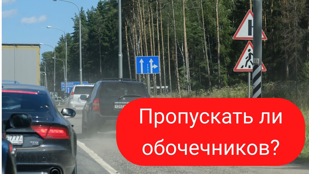 Пропустят ли. Щемим обочечников. Обочечники. Обочечник у Лукойла.