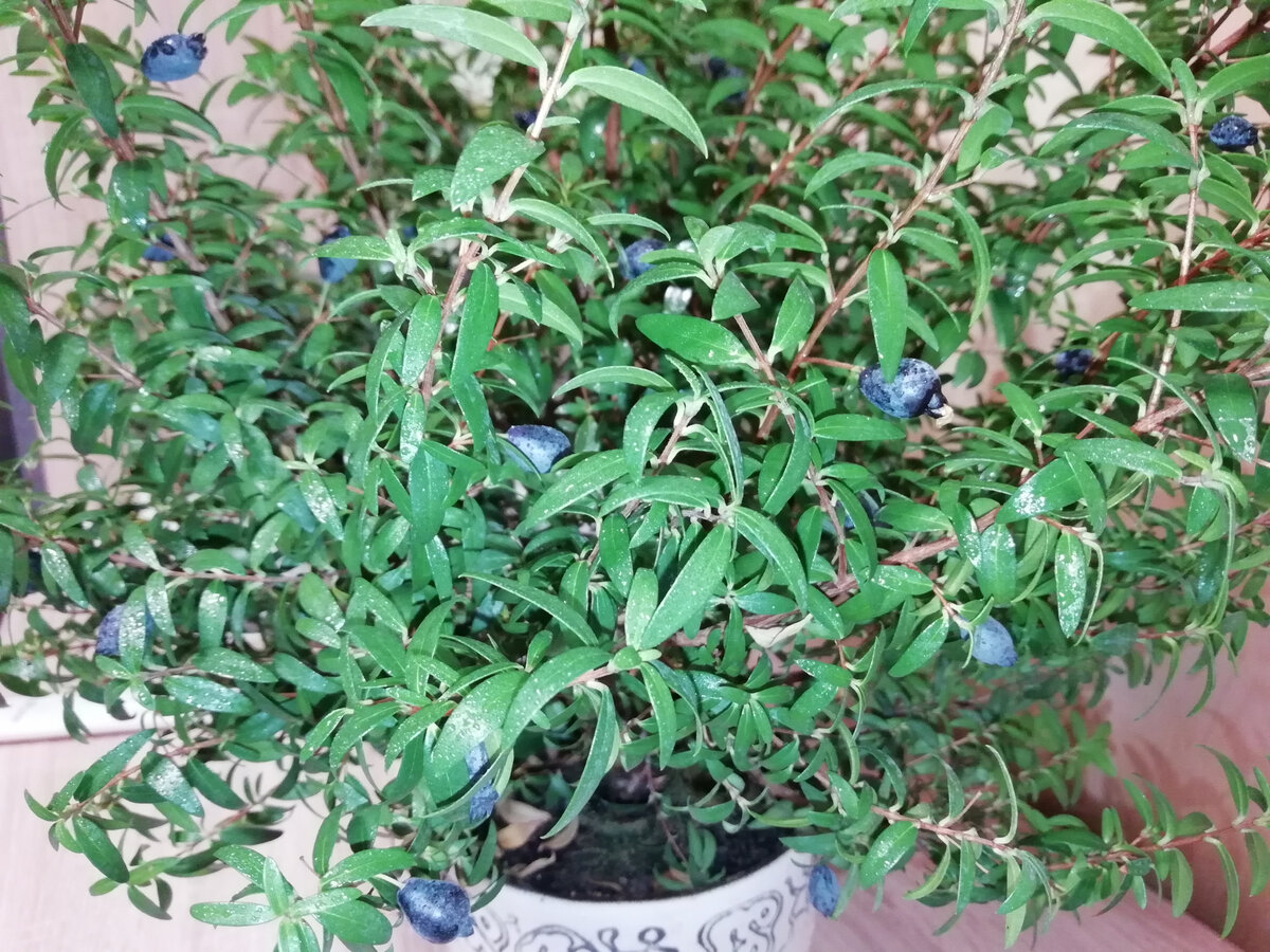 Фото из личного архива автора. 