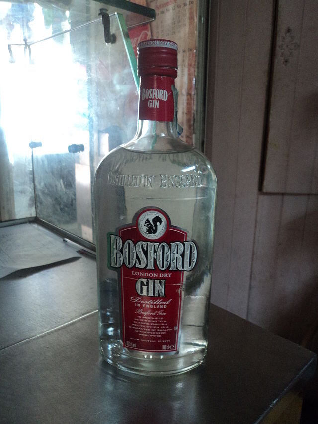 Nicholas Gemini. И белочка в кружке...