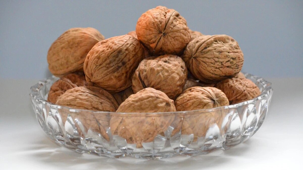 Фото: pxhere.com