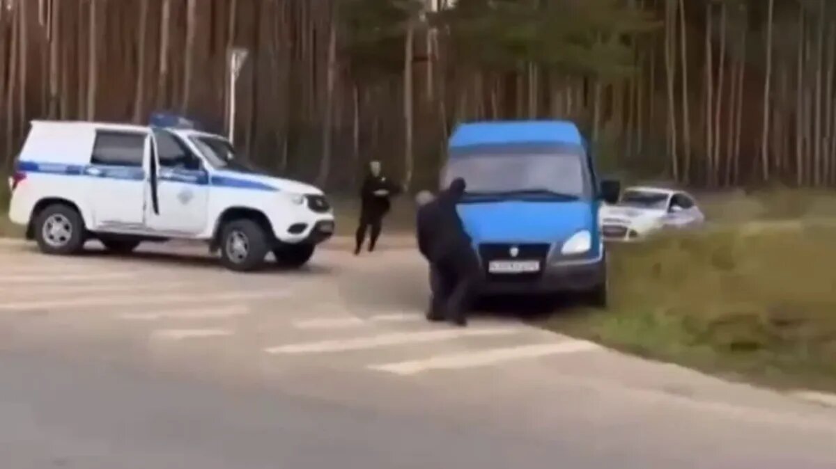 Фото: кадр из видео