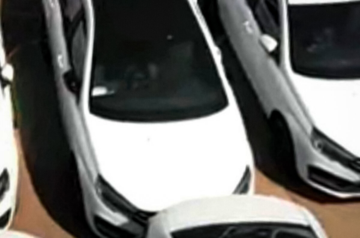    Avtograd News / Vk.com