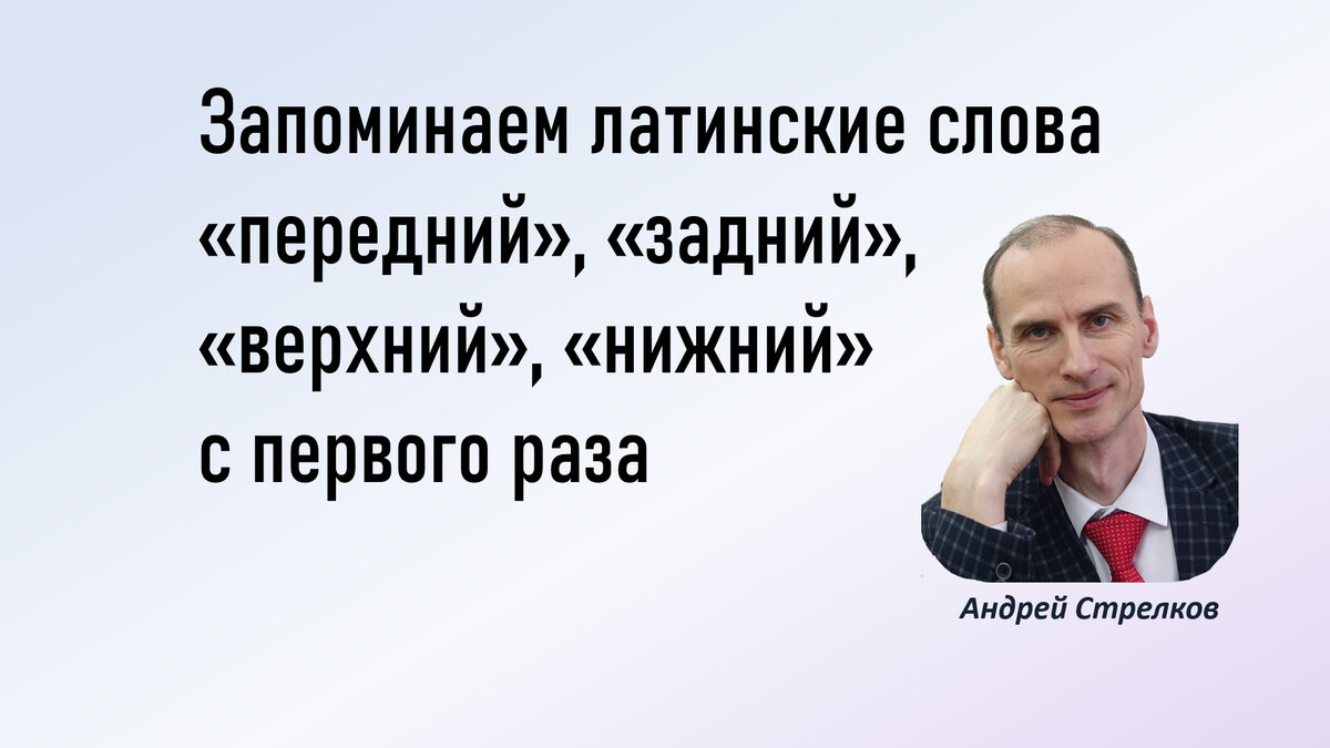 Переднее слово. Запомни на латыни.