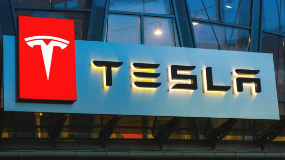    Tesla может закупить в Индии комплектующие на 1,9 миллиарда долларов Юлия Шелковенко