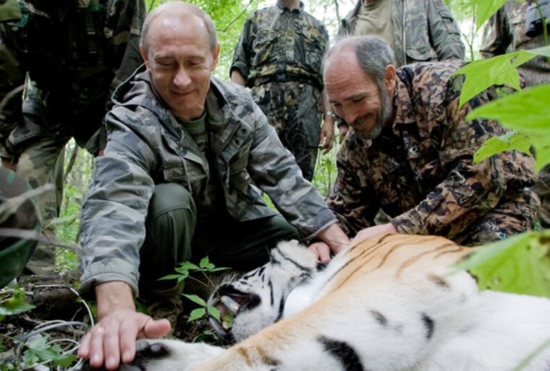    Владимир Путин, ученые и амурский тигр