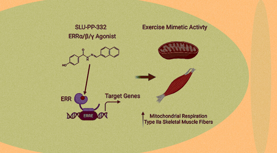   N + 1; Cyrielle Billon et al. / ACS Chemical Biology, 2023