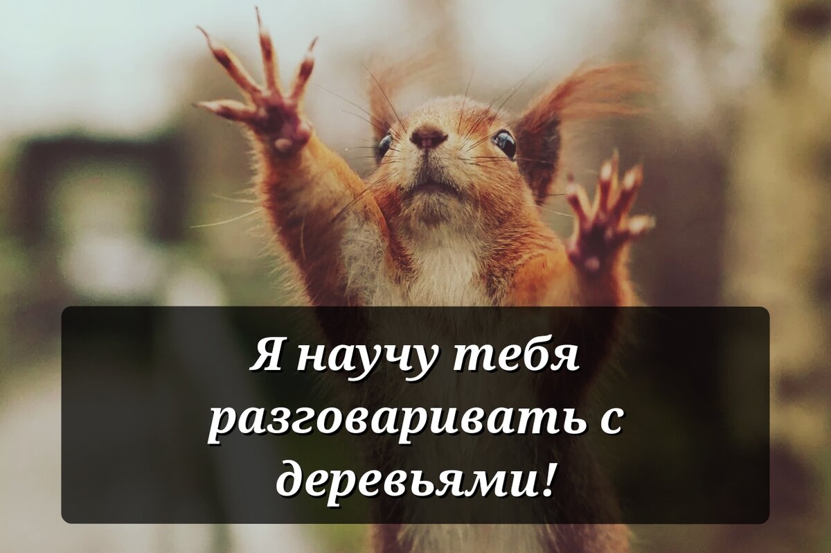 Уважительнее нужно относиться к белкам. Они, между прочим, мир спасти хотят!