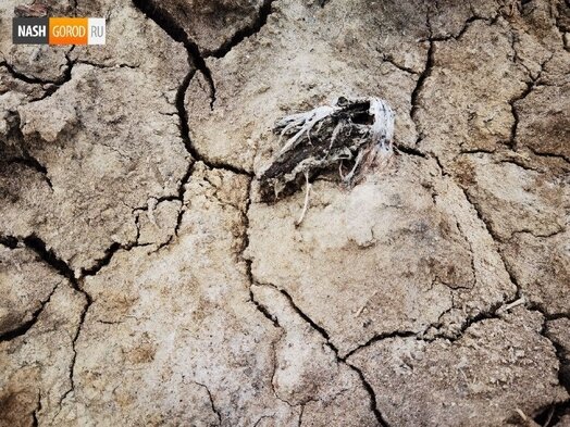 Фото:«Наш Город»