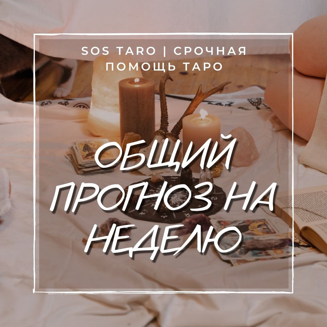 Фото https://vk.com/sos_taro