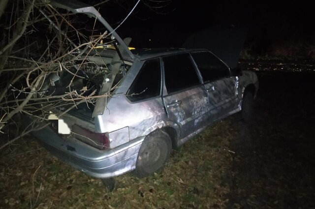    Фото: ГУ МВД по Воронежской области