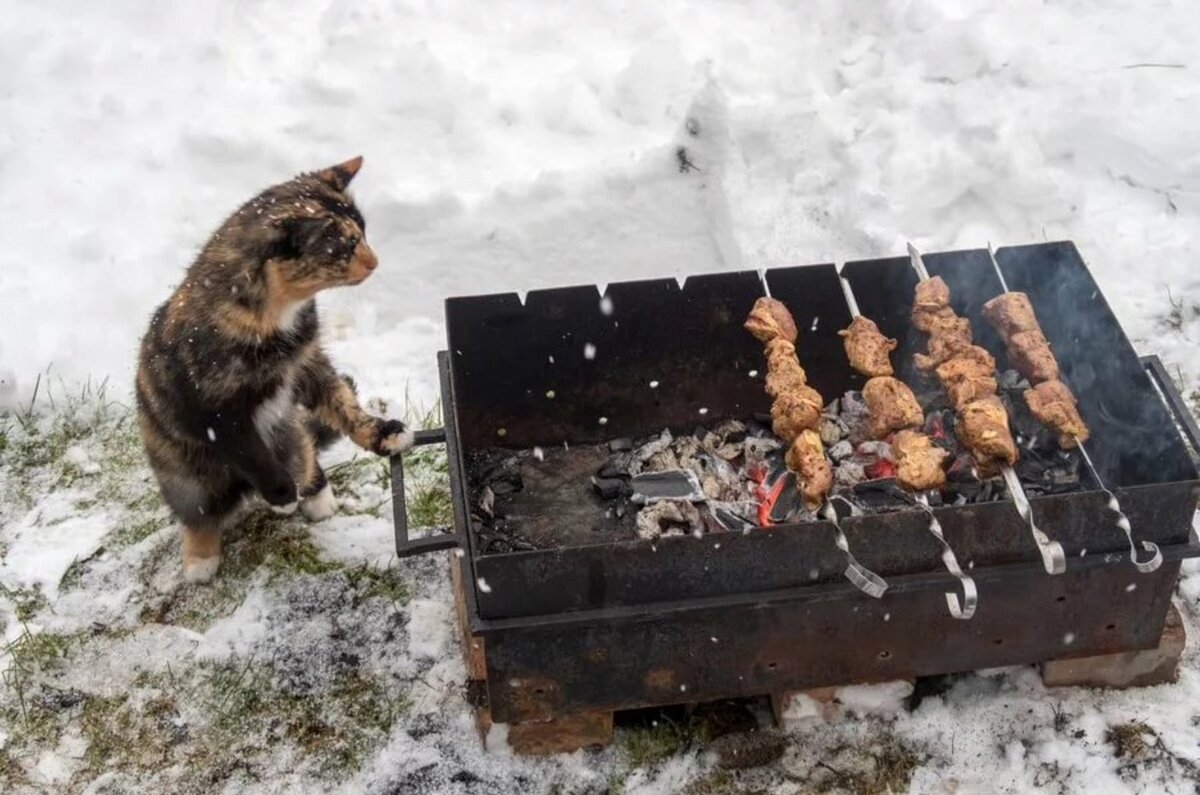 Жарим шашлык зимой