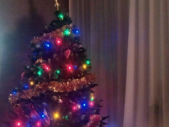     Фото: архив "МК в Калуге"