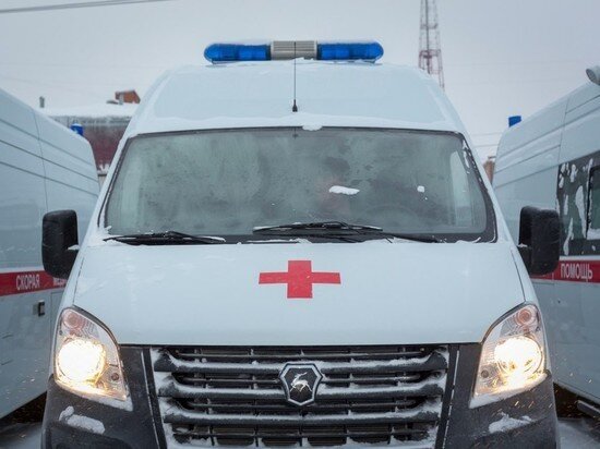     Фото: администрация Томской области