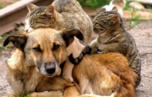    Фото: ok.ru Анастасия Волова