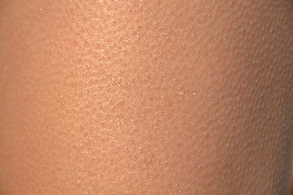 Мурашки. https://pixabay.com/images/id-418266/