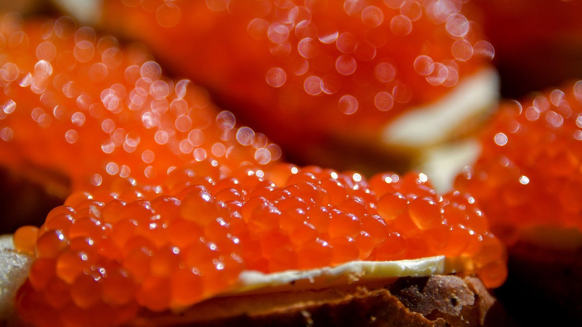 Фото: ТАСС / Юрий Смитюк