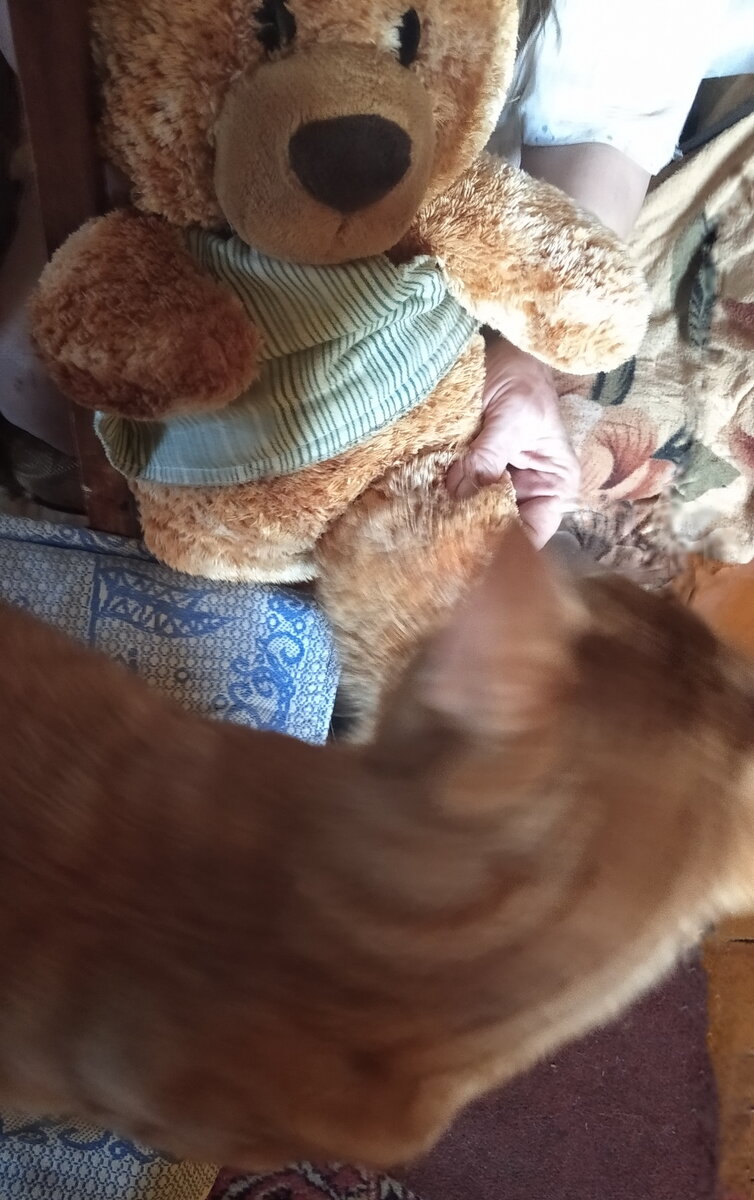 Личное  фото.