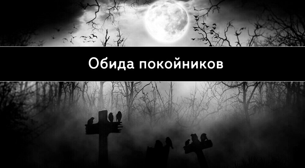 Изображение взято с freepik.com