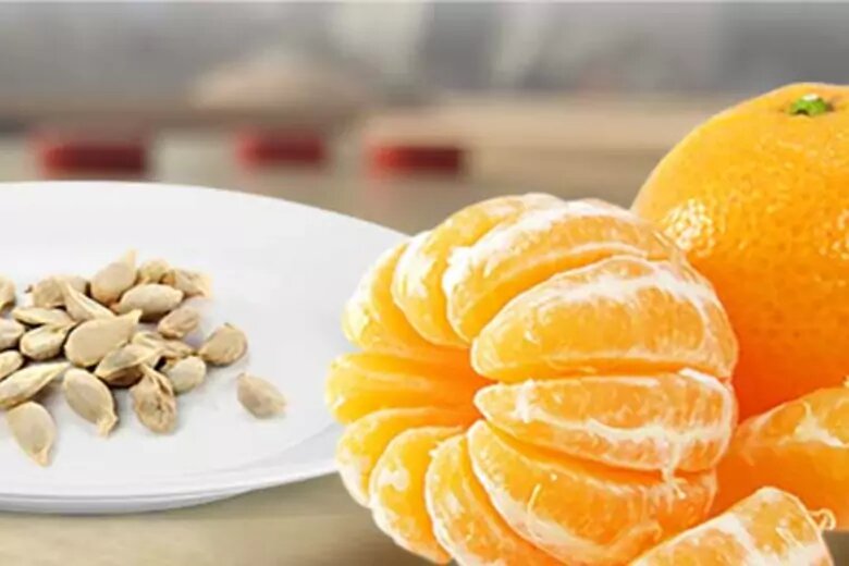 Мандарин, польза и вред мандаринов, сколько их можно съесть без вреда. Спорт-Экспресс