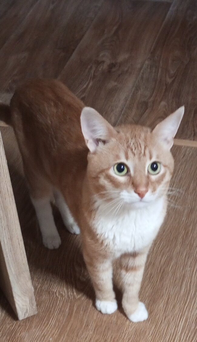 Личное фото.