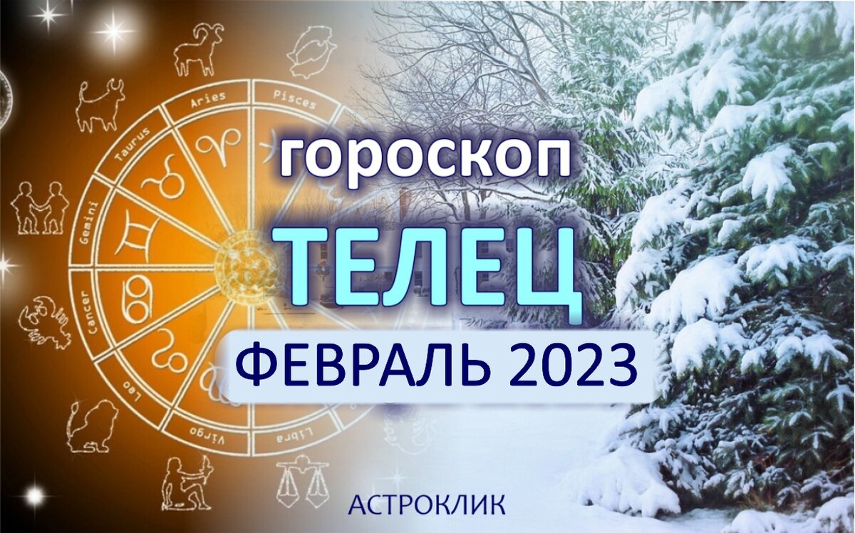 Телец. Февраль принесет успех в работе и нужных связях в начале года |  Астроклик | Дзен